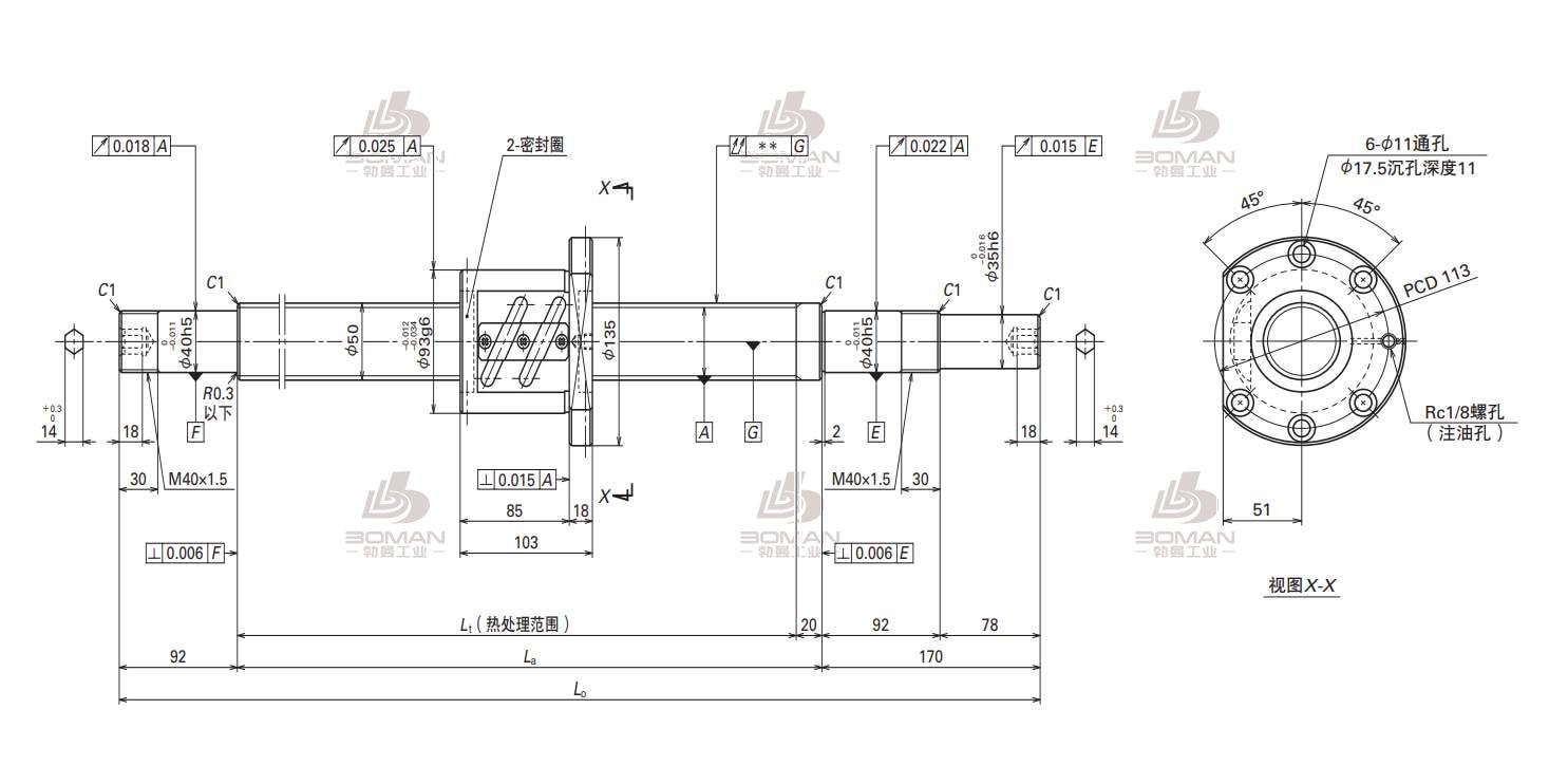 W5007SA-1Z-C5Z10-SA标准滚珠丝杠