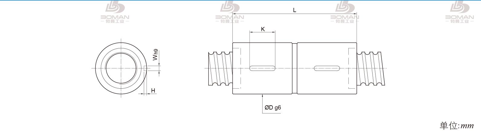 PMI RDIC5005-6 pmi丝杆有900这个型号吗