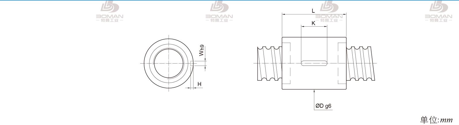 PMI RSIC5006-4 pmi滚珠丝杆3d